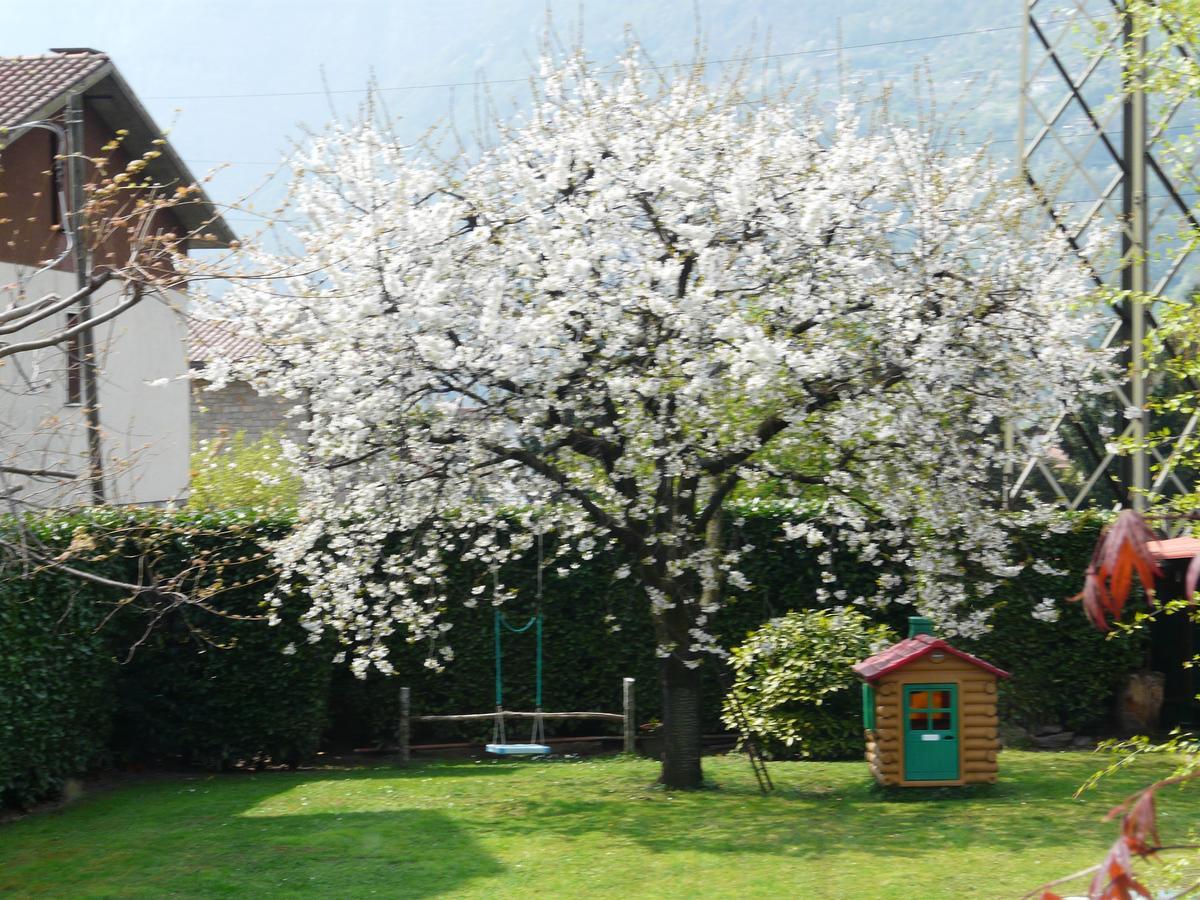 La Casa Di Clara Bed and Breakfast Esine Eksteriør billede